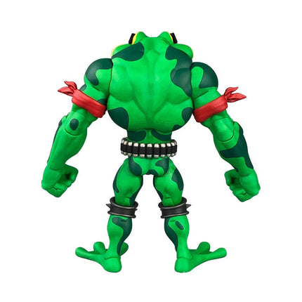 Rash Battletoads Anthology Series Action Figure Wave 1 15 cm